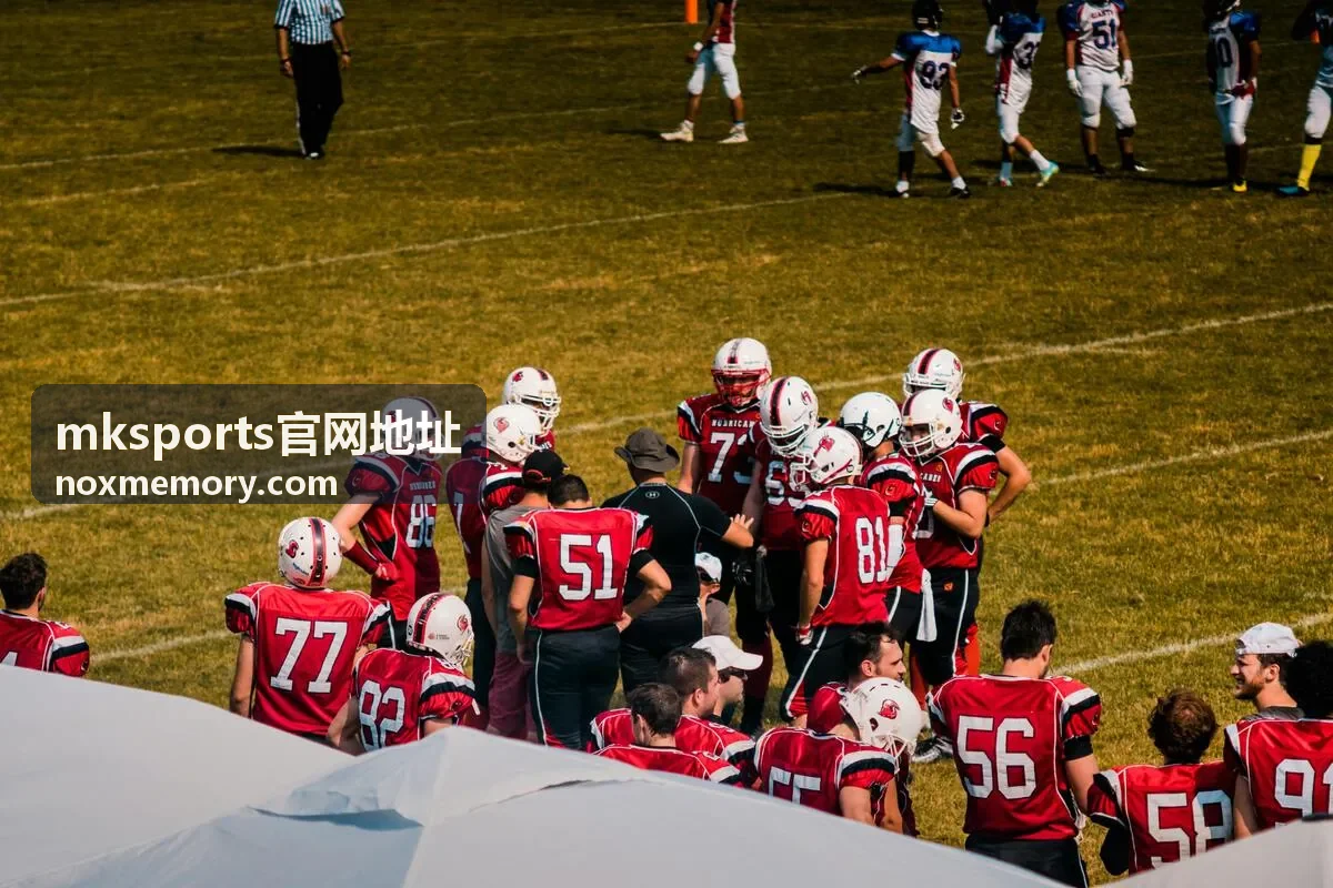mksports官网地址新手访问指南推荐封面