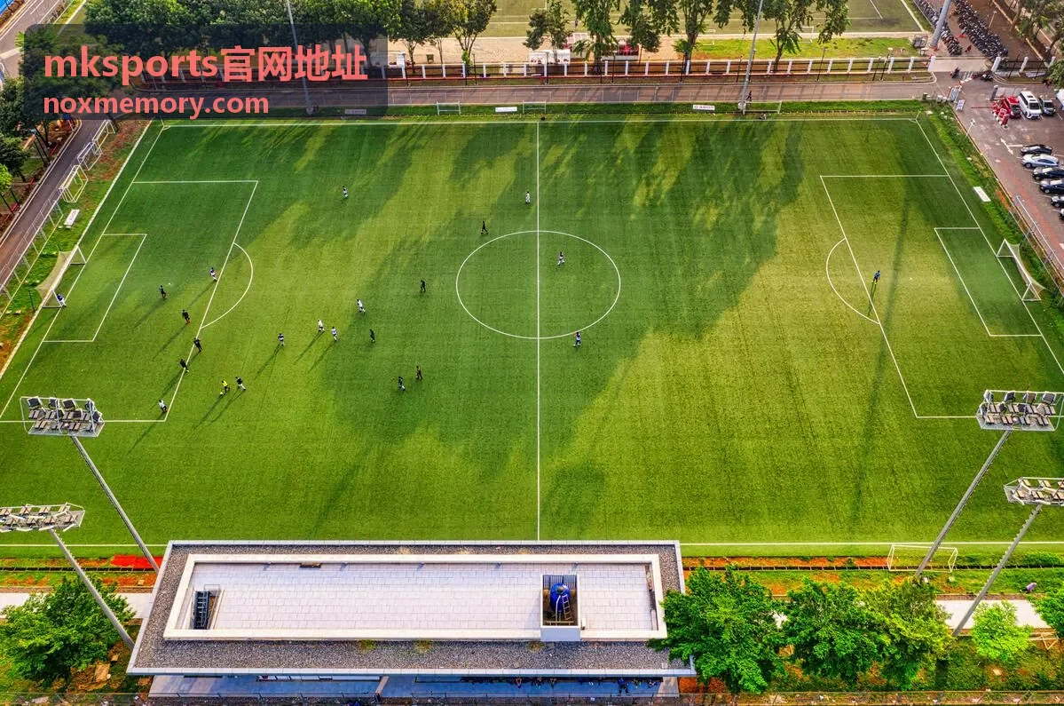 mksports官网地址移动端浏览封面示意